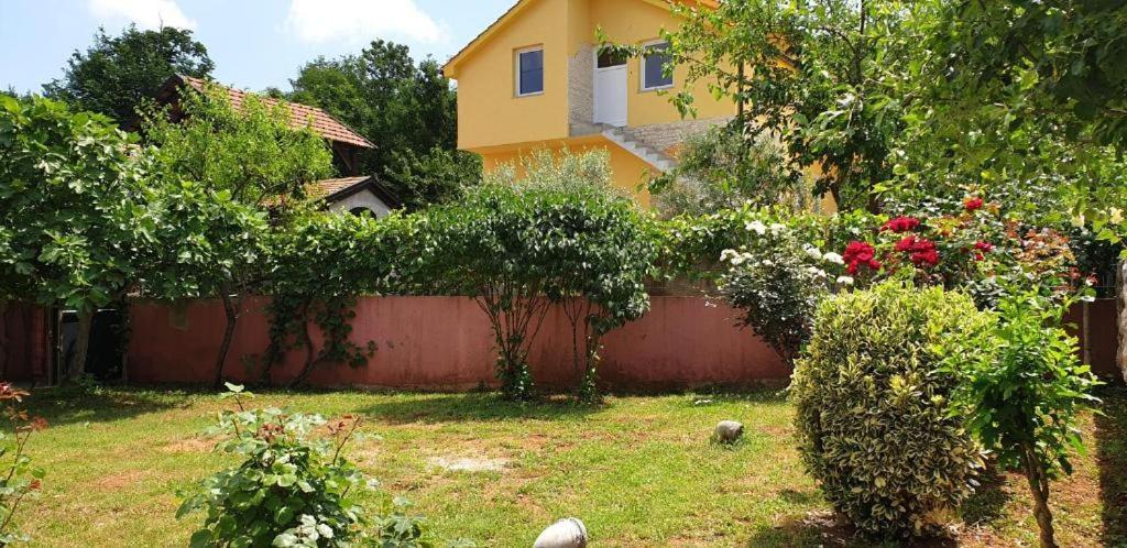 Apartments Roses Dobrinj Екстериор снимка